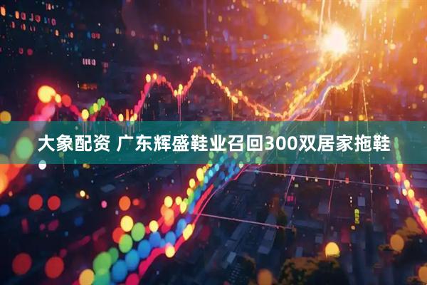 大象配资 广东辉盛鞋业召回300双居家拖鞋