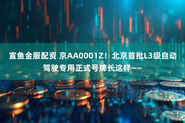 宣鱼金服配资 京AA0001Z！北京首批L3级自动驾驶专用正式号牌长这样——