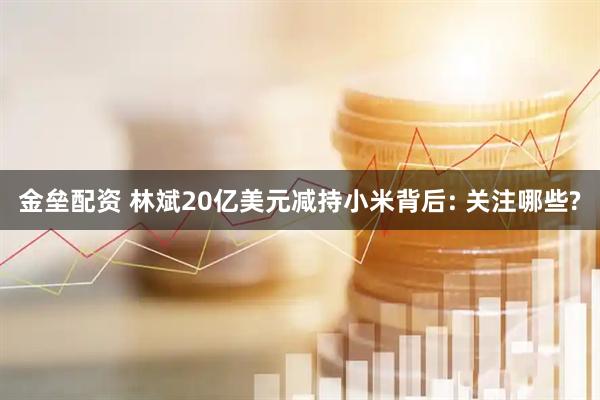 金垒配资 林斌20亿美元减持小米背后: 关注哪些?